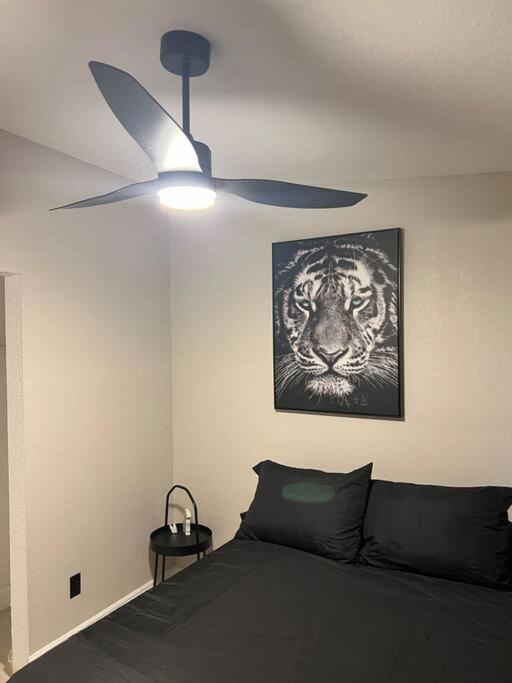 6 Bedrooms Cluethemed Near Parks