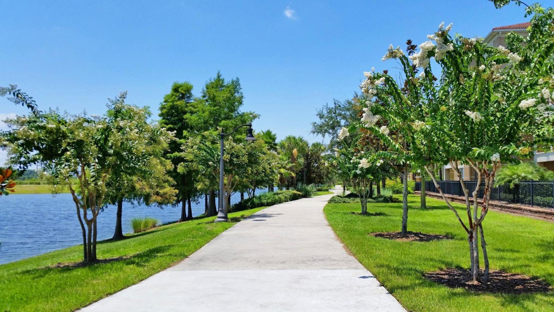 Vista Cay 81 By Apartment