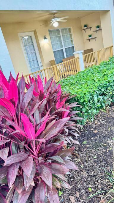 Apartamento P13# Vista Cay/lakeview/newly Renovated/ Walk Occc
