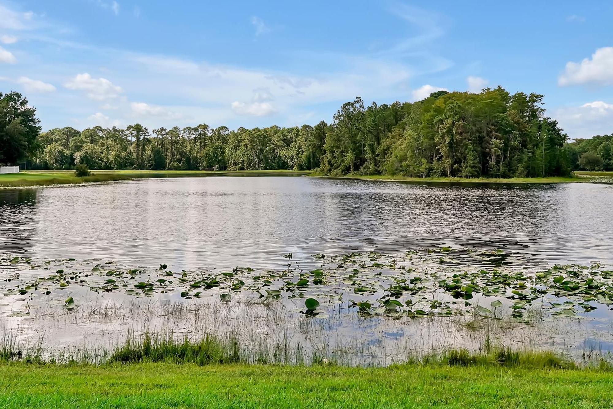 Entire W/ Private Pool,gated Near Holiday home Orlando