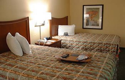 Hotel The Palms And