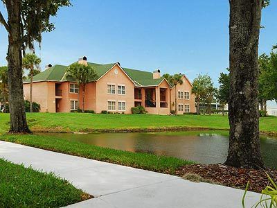 The Palms And