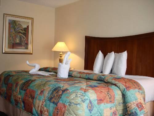 Hotel The Palms And