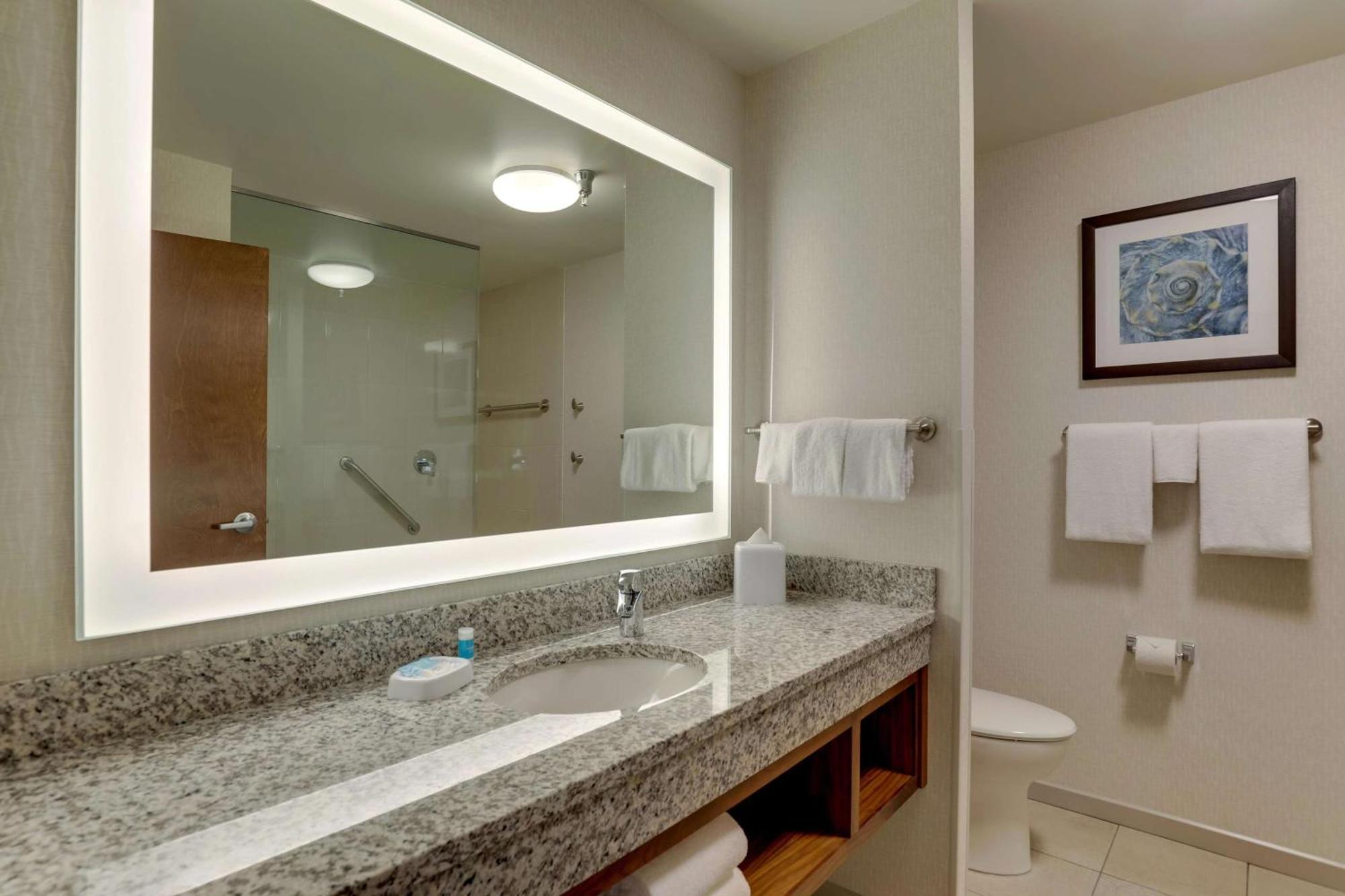 Hotel Drury Plaza Orlando - Springs Area 4*