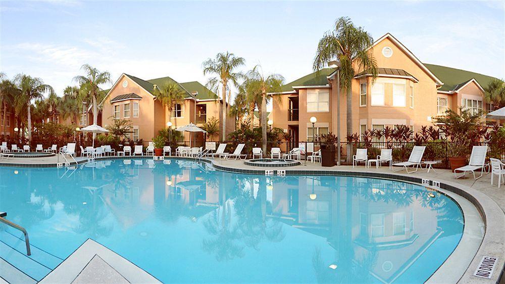 The Palms And 3*