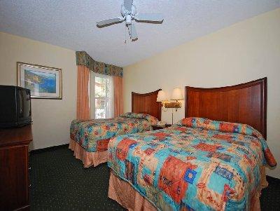 Hotel The Palms And 3*