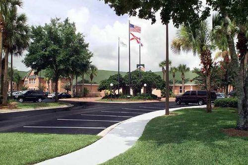 The Palms And Hotel