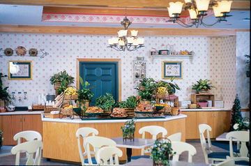 Country And Suites-lbv 3* Lake Buena Vista