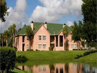 The Palms And 3*