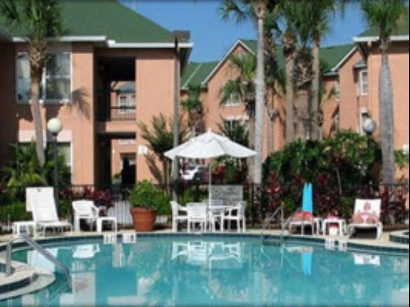 The Palms And Hotel