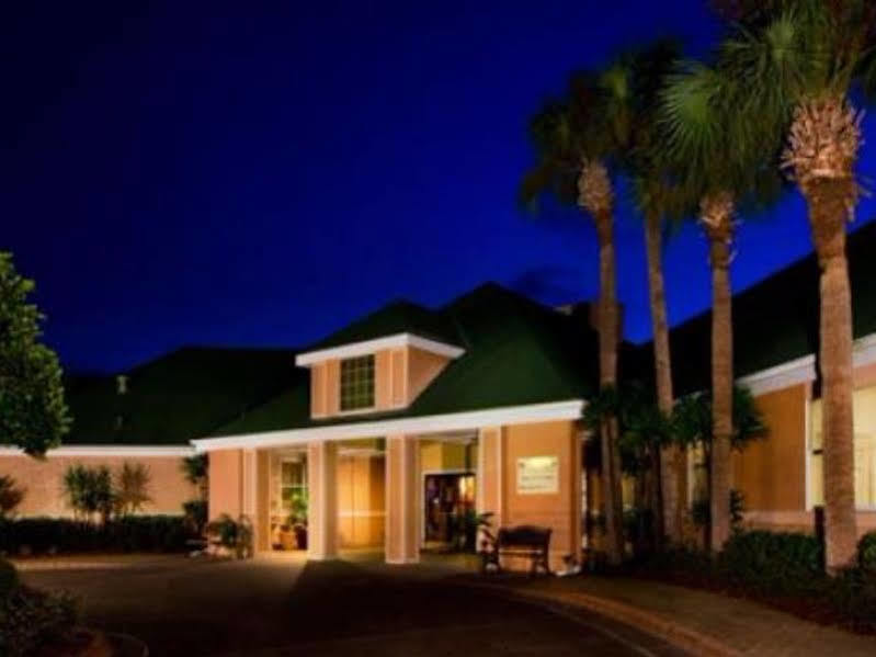 The Palms And