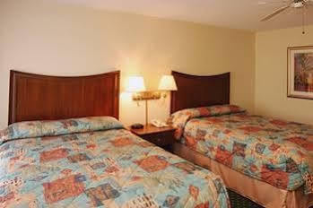 Hotel The Palms And